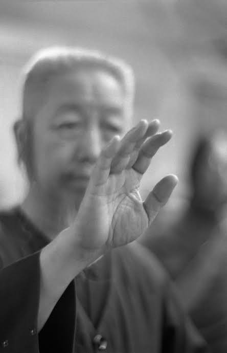Le professeur Zheng Manqing en posture de Taiji Quan